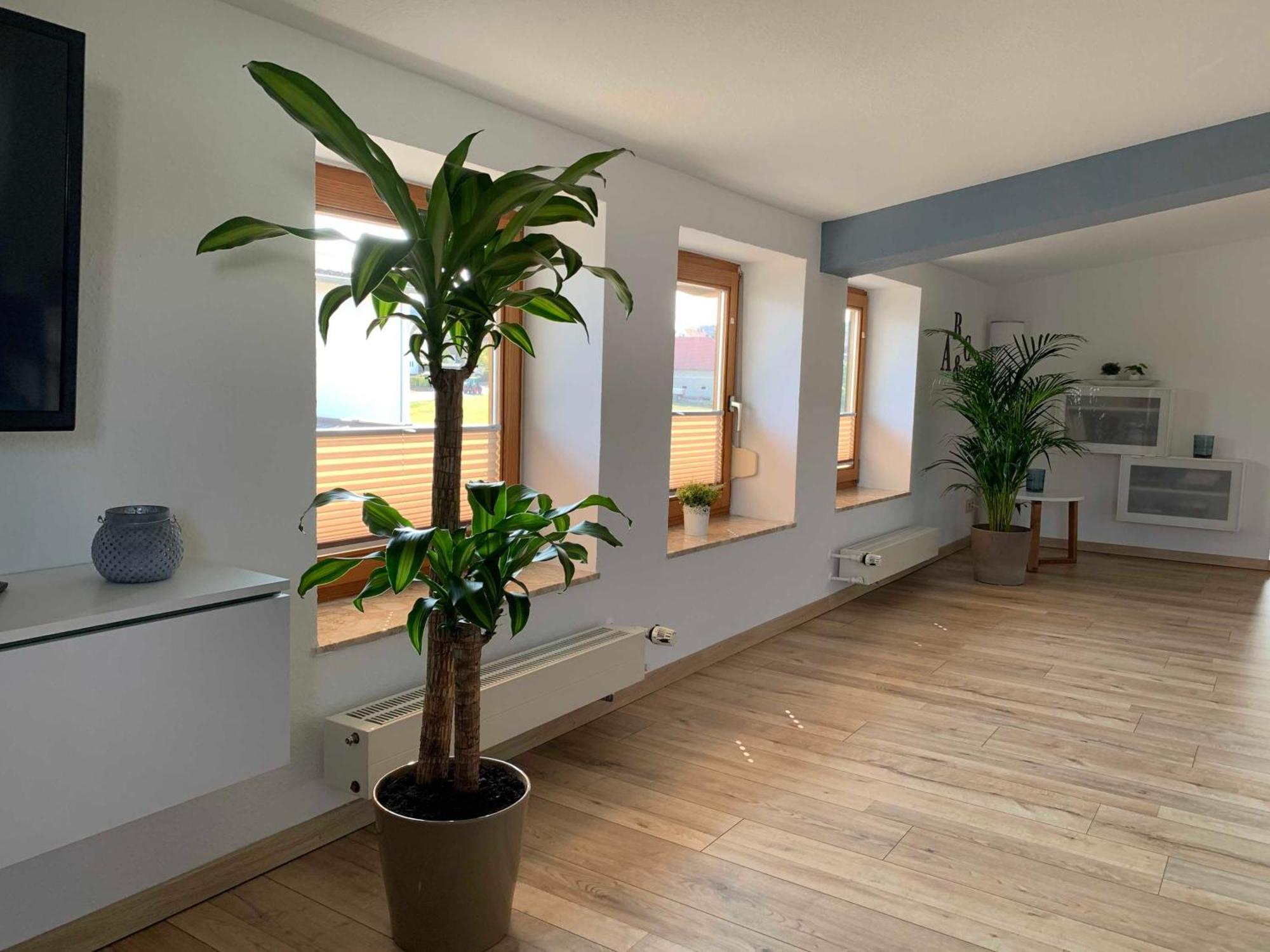 Ferienwohnung In Den Wiesen Albertshausen Экстерьер фото
